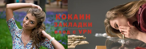 мяу мяу мука Дмитриев