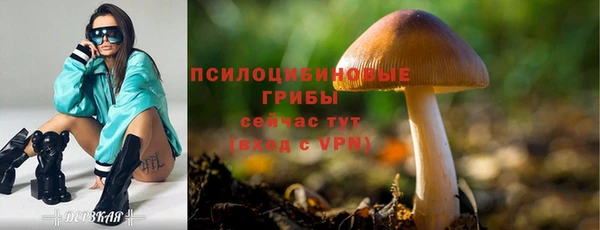 мескалин Билибино