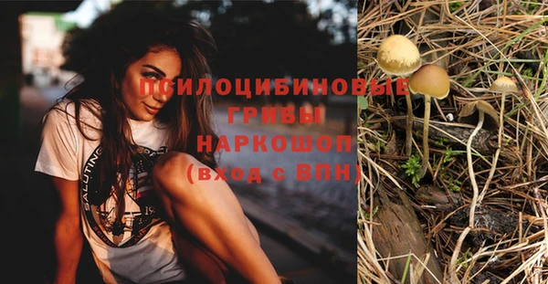 мяу мяу мука Дмитриев