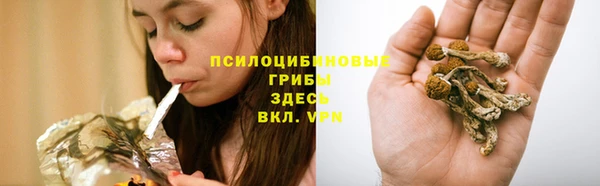 СК Беслан