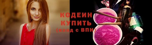 apvp Бикин