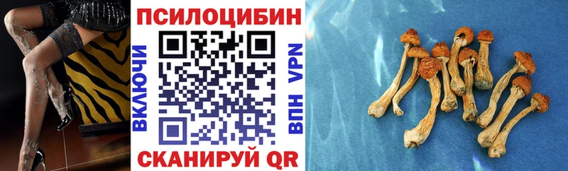 mega зеркало  Жигулёвск  Галлюциногенные грибы MAGIC MUSHROOMS 